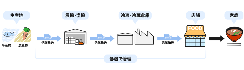 Agricultural and marine products are transported from the production area to agricultural and fishery cooperatives, then to refrigerated and frozen warehouses, next to stores, and finally to household tables. During this process, they are always kept at low temperatures.