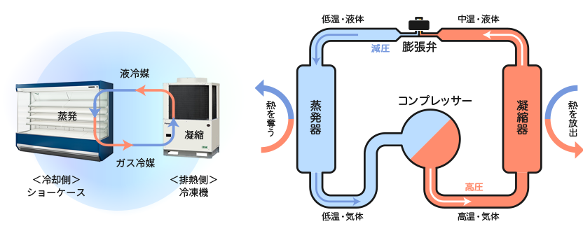 The refrigeration system on the right and the display cabinets on the left are connected. The liquid refrigerant condensed by the refrigeration system evaporates in the display cabinets, becomes gas refrigerant, and returns to the refrigeration system(左図)/The condenser is on the right, and the evaporator is on the left. The refrigerant from the condenser is depressurized by the expansion valve, reaches the evaporator, and absorbs heat. The refrigerant from the evaporator is pressurized by the compressor and releases heat in the condenser(右図)