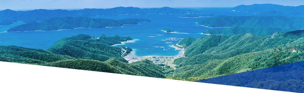 Beautiful natural scenery image