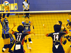 VS pCIjAbh\jbNX̗lq