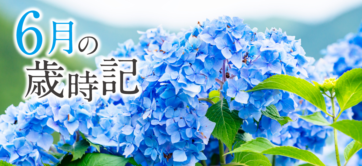 歳時記