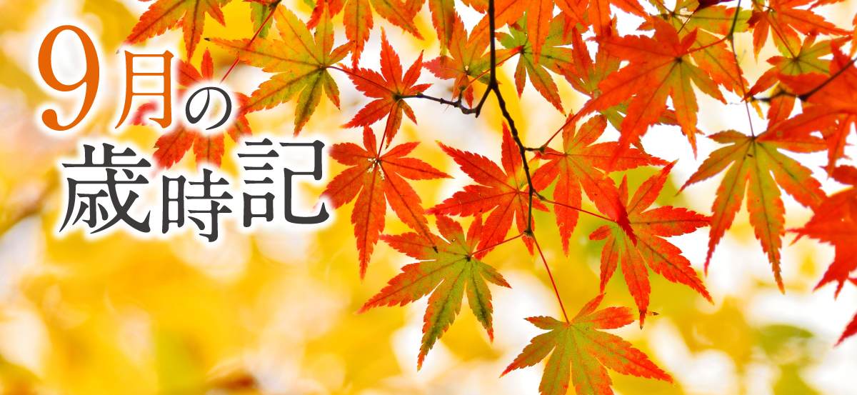 歳時記