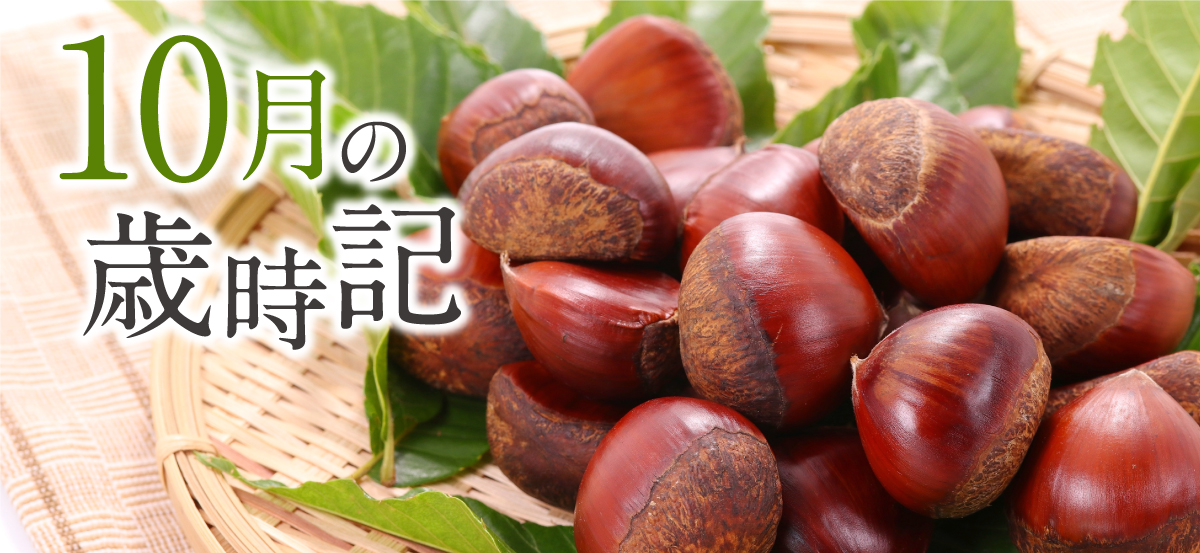 歳時記