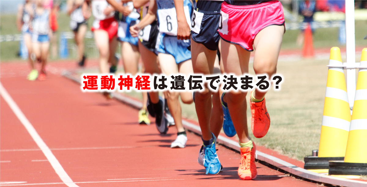 運動神経は遺伝で決まる？