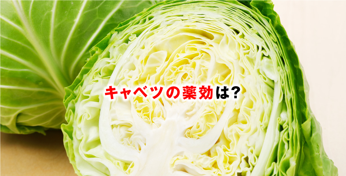 キャベツの薬効は？