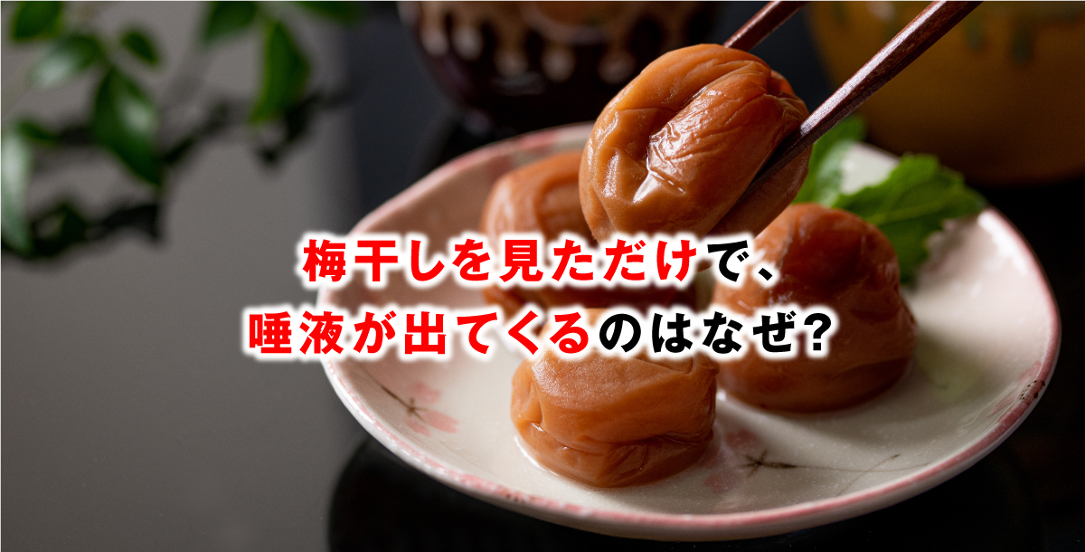 梅干しを見ただけで、唾液が出てくるのはなぜ？