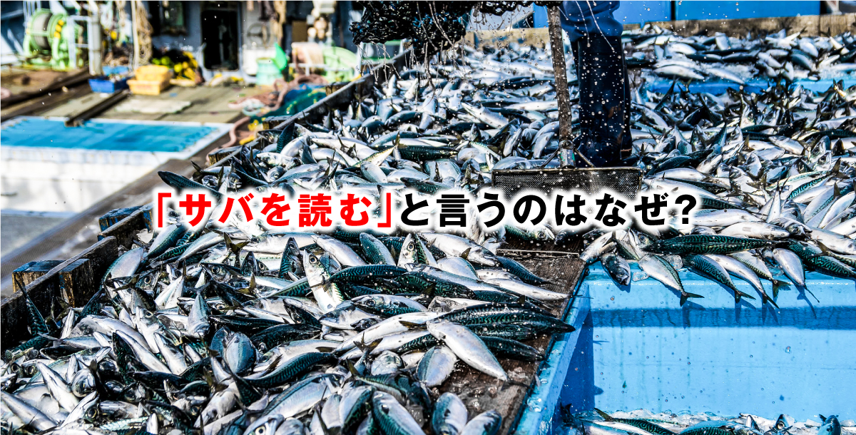 「サバを読む」と言うのはなぜ？