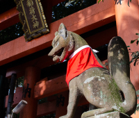 生活・人の雑学
