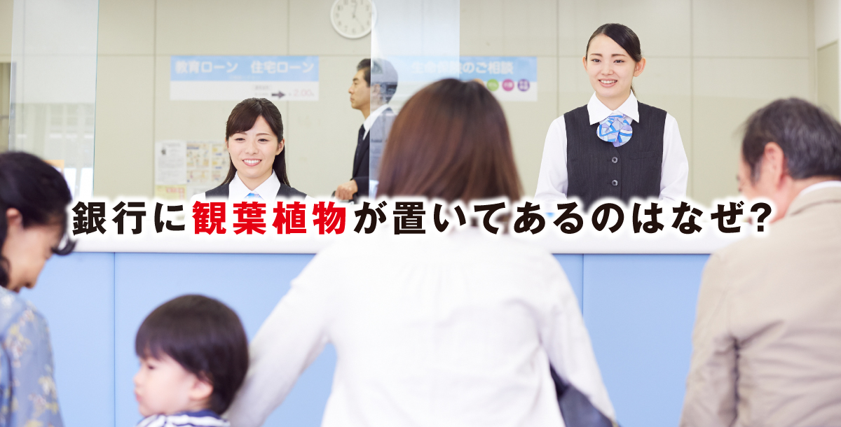 銀行に観葉植物が置いてあるのはなぜ？