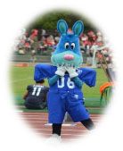 ���C�r�[�N