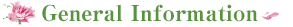 General information 