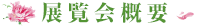 WTv