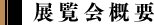 WTv