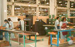 写真：商品形態別セルライン化