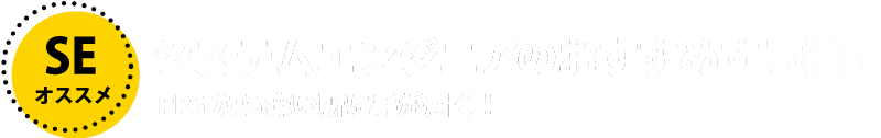 システムエンジニア(SE)のおすすめする機能