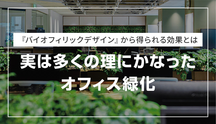 『バイオフィリックデザイン』から得られる効果とは｜実は多くの理にかなったオフィス緑化