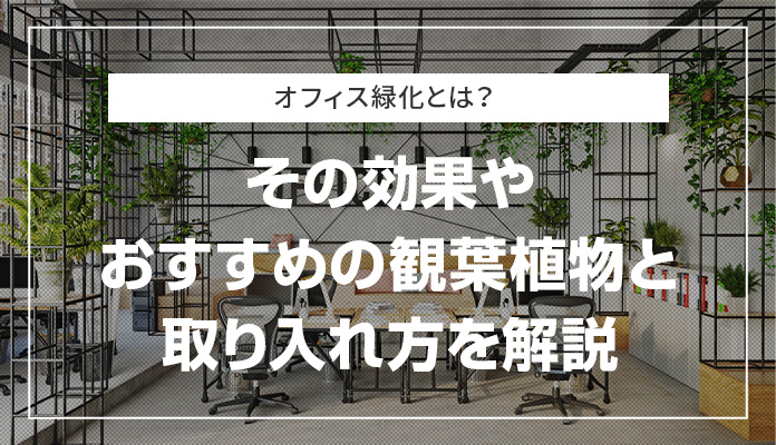 オフィス緑化とは？その効果やおすすめの観葉植物と取り入れ方を解説