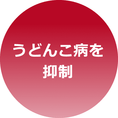 うどんこ病を抑制