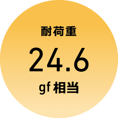 耐荷重24.6gf相当