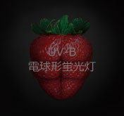 UV-B電球形蛍光灯
