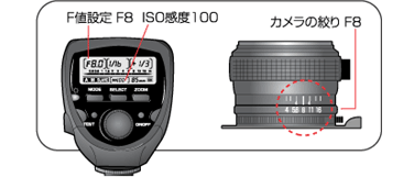 PE-36Sの場合の例