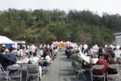 さくらまつり