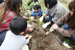 野菜・果物収穫祭