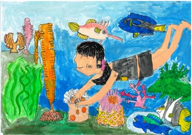 海の生物と私