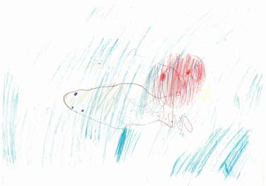 海の生きもの