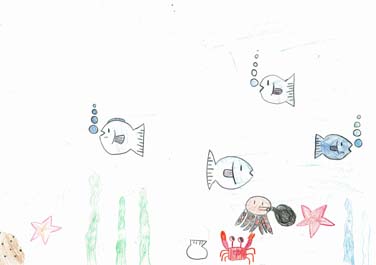 きれいな海