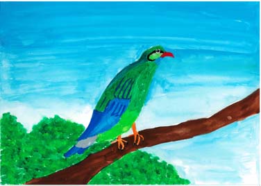 美しい鳥