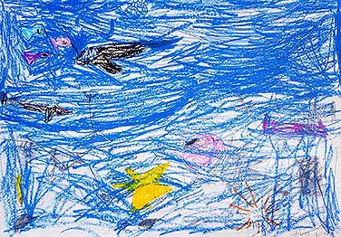 海