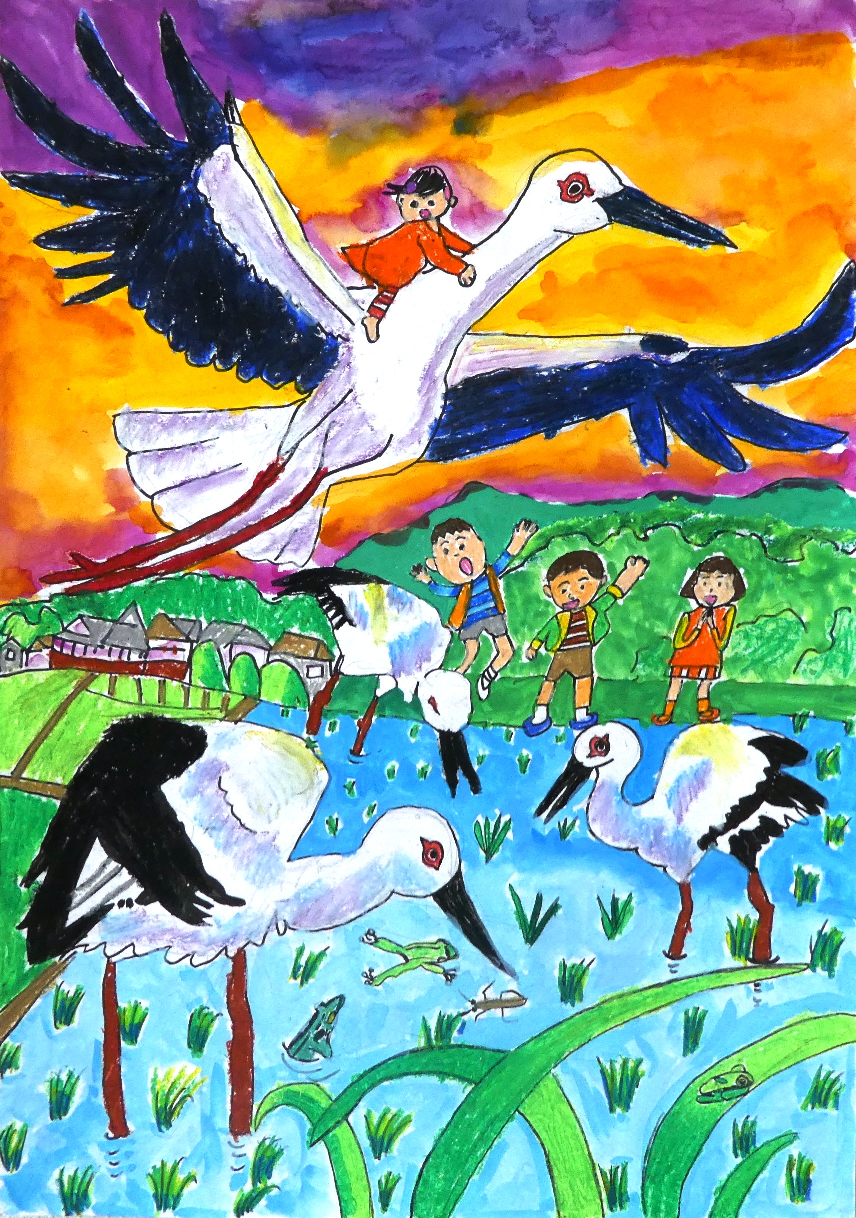 鳥と田んぼ