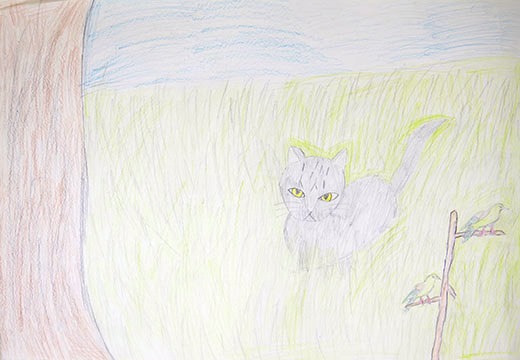 猫と鳥