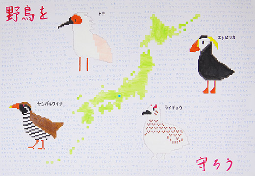 野鳥を守ろう