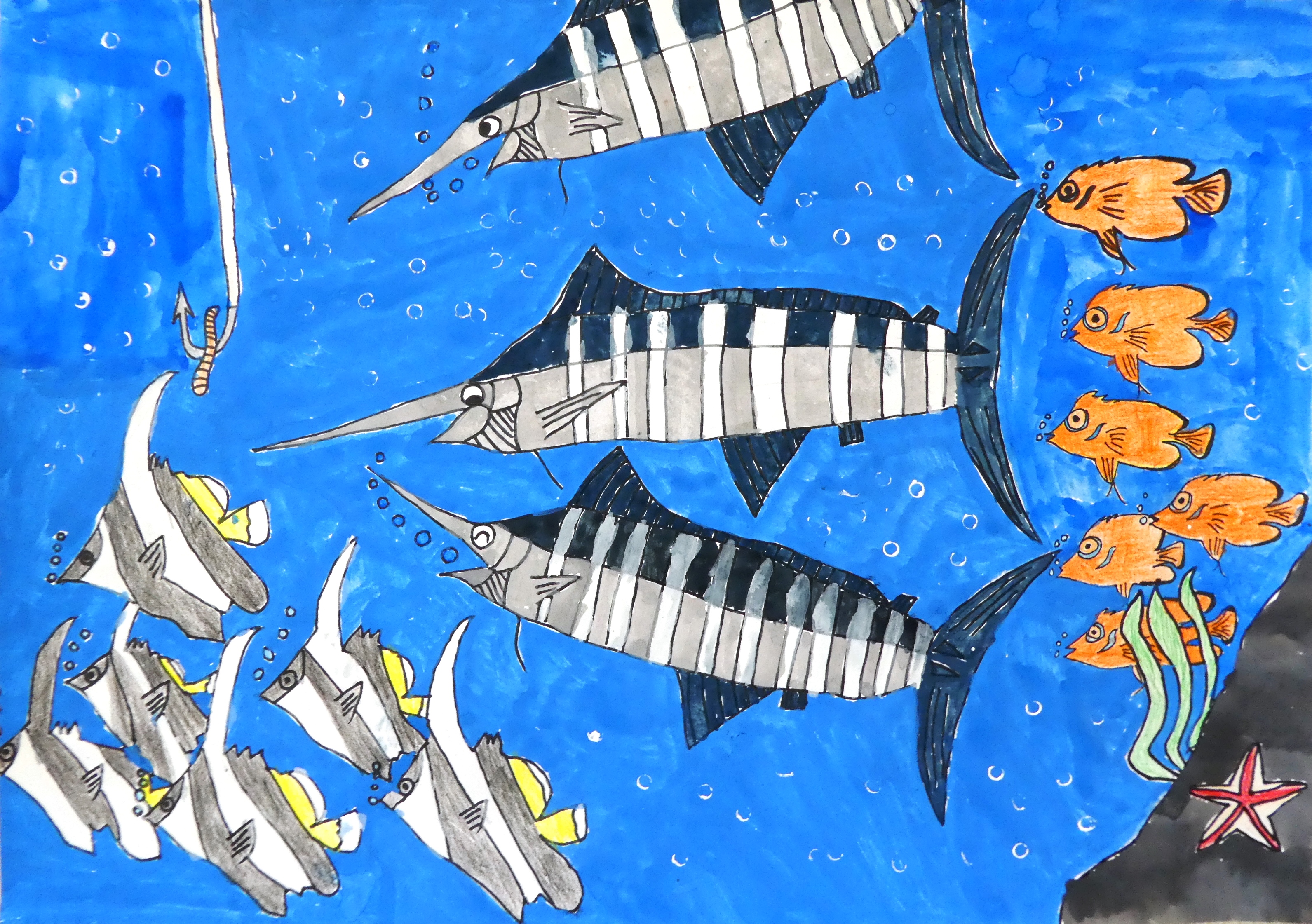 魚の楽園