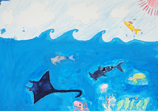 海の生物たち