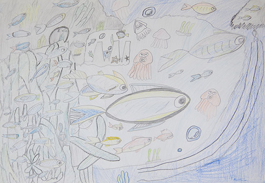 海の生き物大集合!