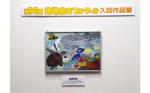 展示作品