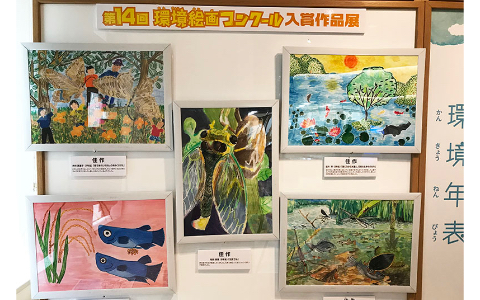 展示作品