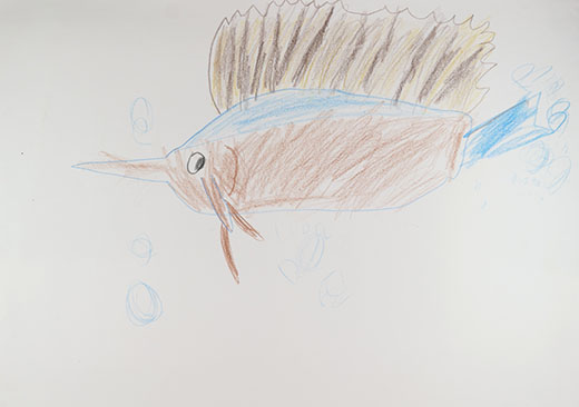 魚のすみか