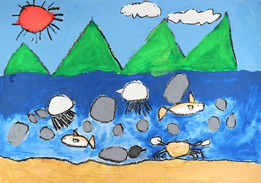 きれいな海