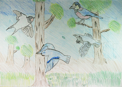 鳥の森