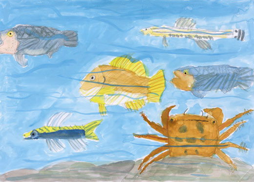 川の魚たち