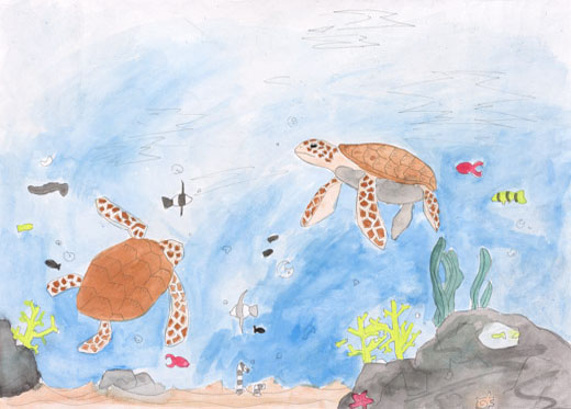 海の生き物