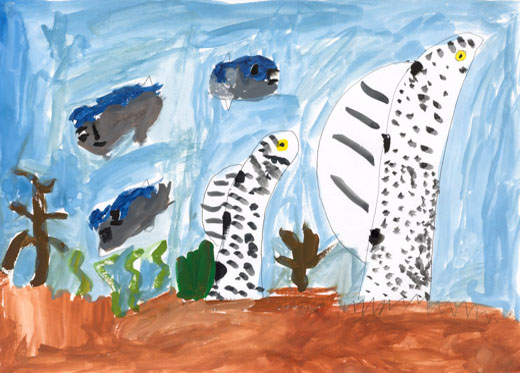海の生き物