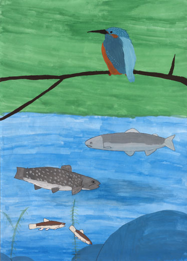 清流の生き物