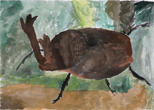 カブトムシ