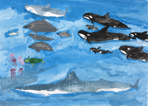 海の生きもの