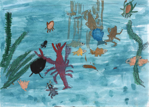 水辺の生き物